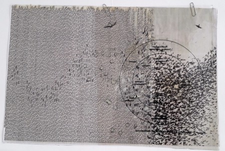 50 x 30 cm